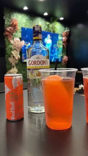 DOSE GIN GORDONS TRAD C/ RED BULL